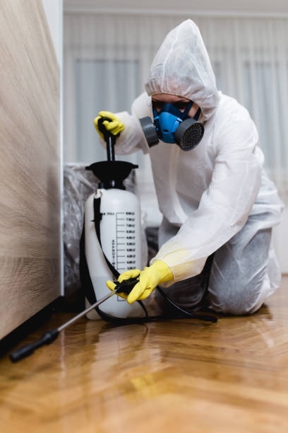 Best Residential Pest Control  in South Monroe, MI